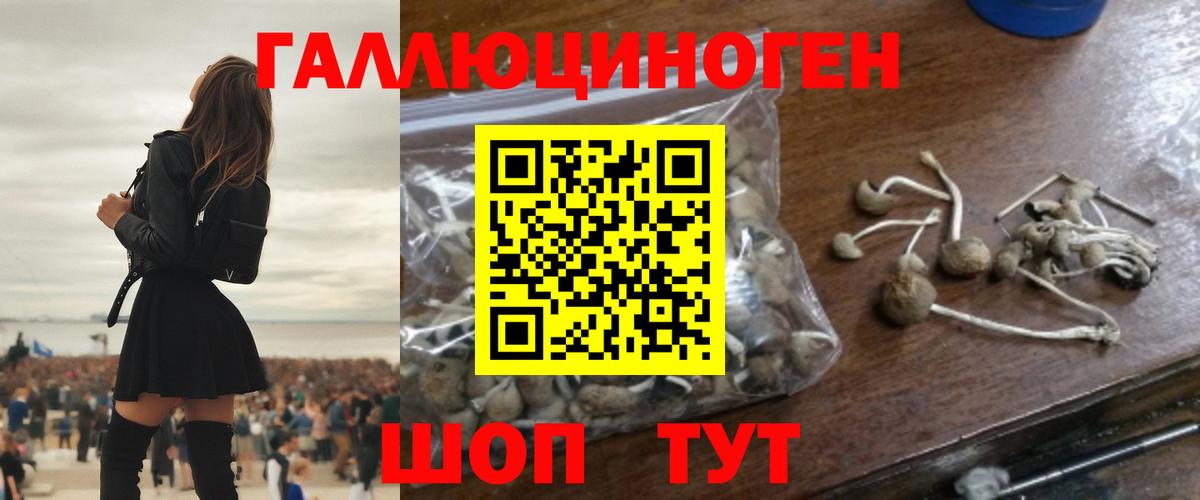 Галлюциногенные грибы Cubensis Асбест